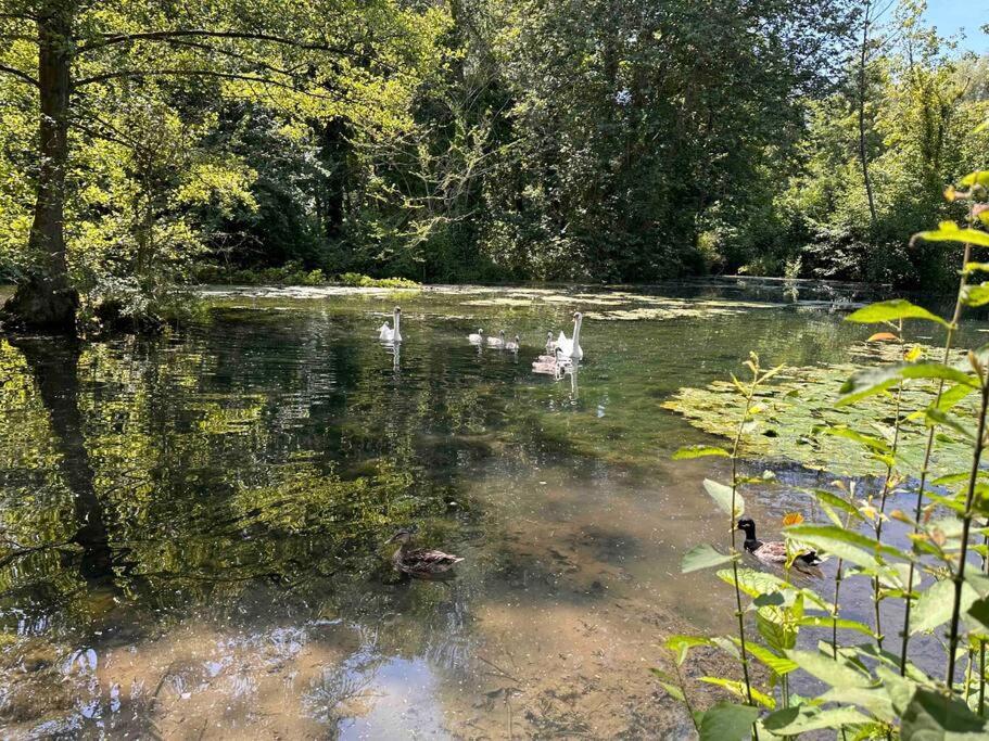 L'Impasse - Au Bord De L'Eau Epagne-Epagnette Exterior foto